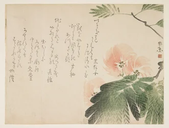 Albero di Seta Fiorito, c.1830-43